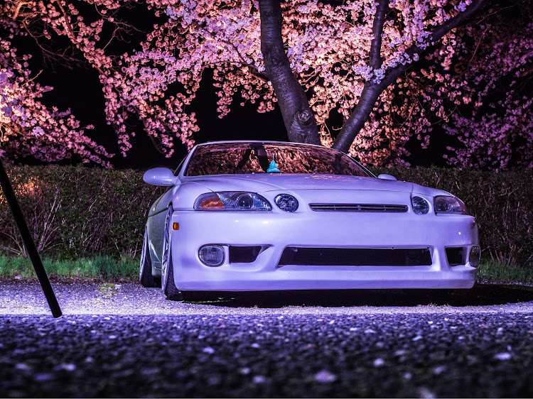 ソアラの桜・桜とコラボ・桜と愛車・夜桜・撮影感謝に関するカスタム事例の投稿画像1枚目
