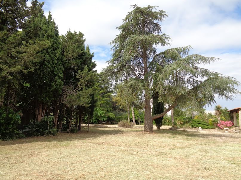 Vente terrain  180 m² à Manduel (30129), 105 000 €