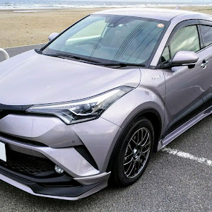 C-HR ZYX10