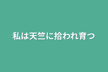 私は天竺に拾われ育つ