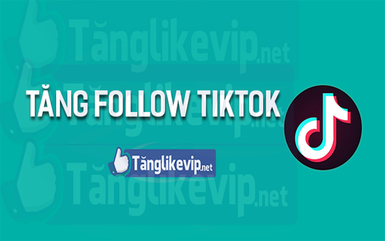 Tăng Follow Theo Dõi TikTok Preview image 2