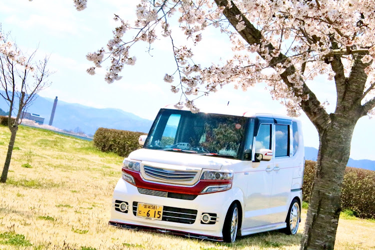 Nボックスカスタムの桜🌸2020・コロナウイルスに負けるな・桜と愛車に関するカスタム事例の投稿画像3枚目