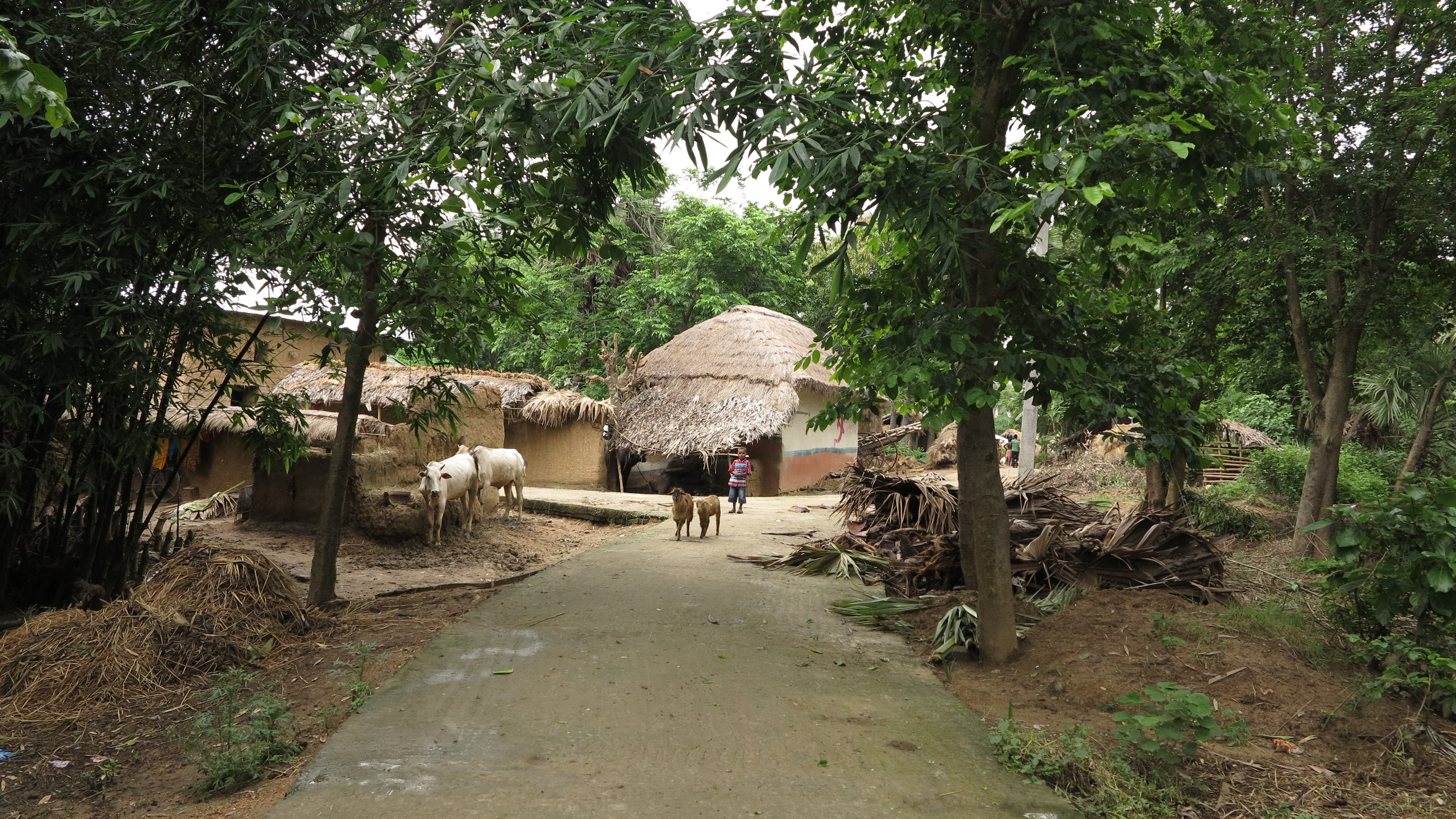 What Was It About the Young Subalpur Gang-Rape Victim That So Incensed Her Fellow Villagers?