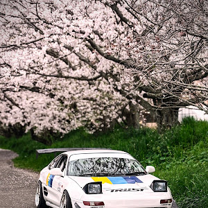 MR2 SW20