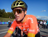 Waanzinnige regelmatigheid Van Avermaet levert op: "Het bewijs"