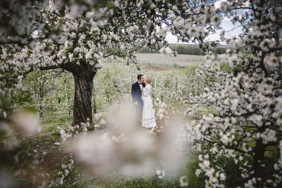 Wedding photographer Paweł Mucha (zakatekwspomnien). Photo of 11 May 2017