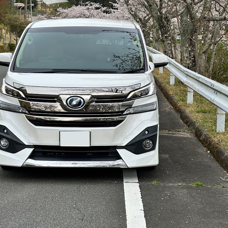 ヴェルファイアのサクラと愛車・桜とコラボ・AYH30に関するカスタム事例の投稿画像1枚目