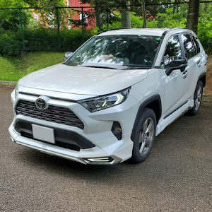 RAV4 MXAA54