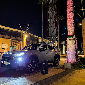 RAV4 MXAA54