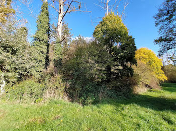 terrain à Javron-les-Chapelles (53)