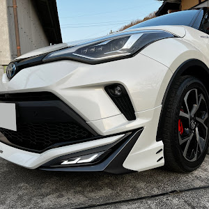 C-HR ZYX11