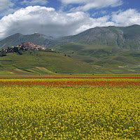 ...Castelluccio... di 