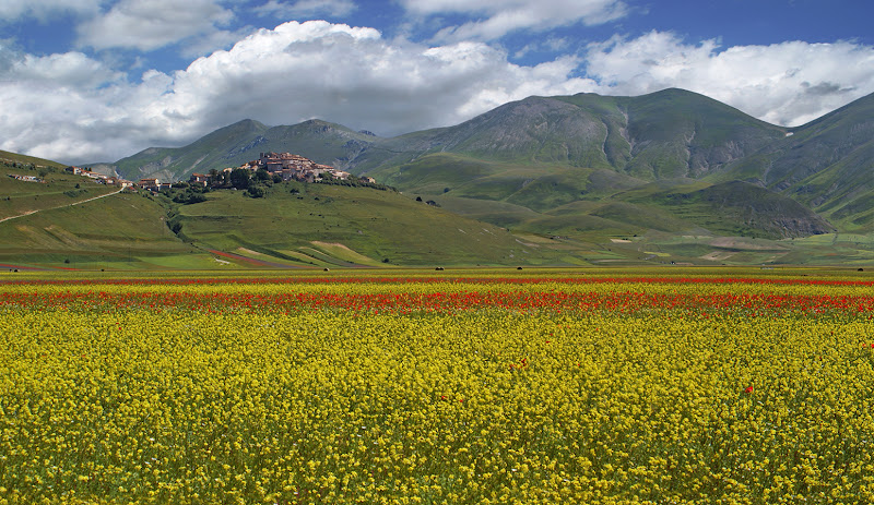 ...Castelluccio... di mariarosa-bc