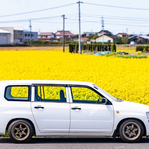 プロボックスバン