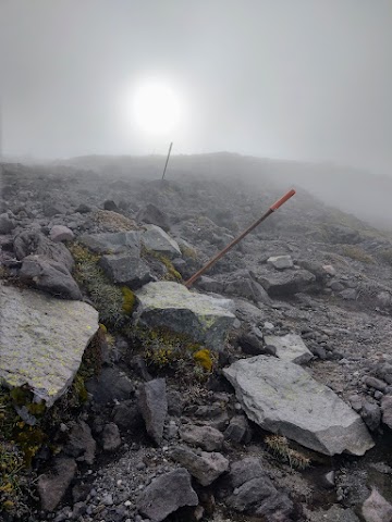 Fanthams Peak and Syme Hut Track in the clouds and snow poles