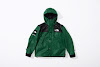 supreme the north face leather mountain parka green