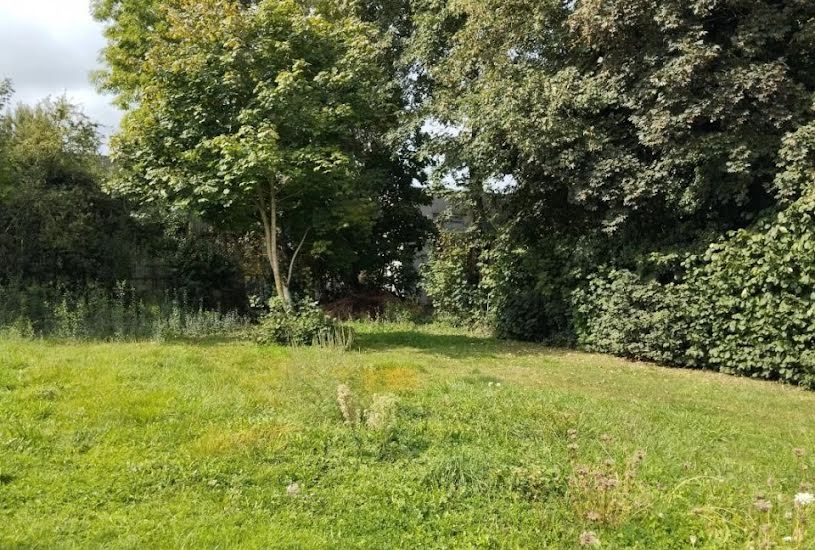  Vente Terrain + Maison - Terrain : 530m² - Maison : 170m² à Avesnelles (59440) 