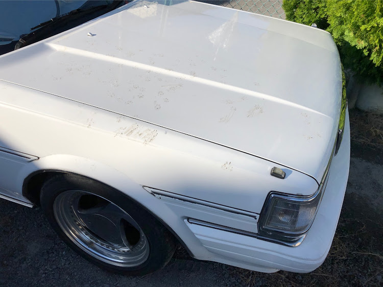 マークIIバンの洗車・足跡・可愛いからいいけどwwに関するカスタム事例の投稿画像1枚目
