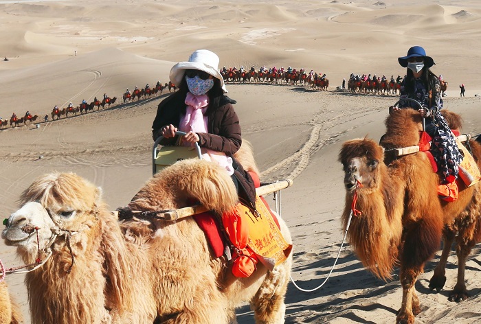 Tour du lịch Mông Cổ - Thử cưỡi lạc đà