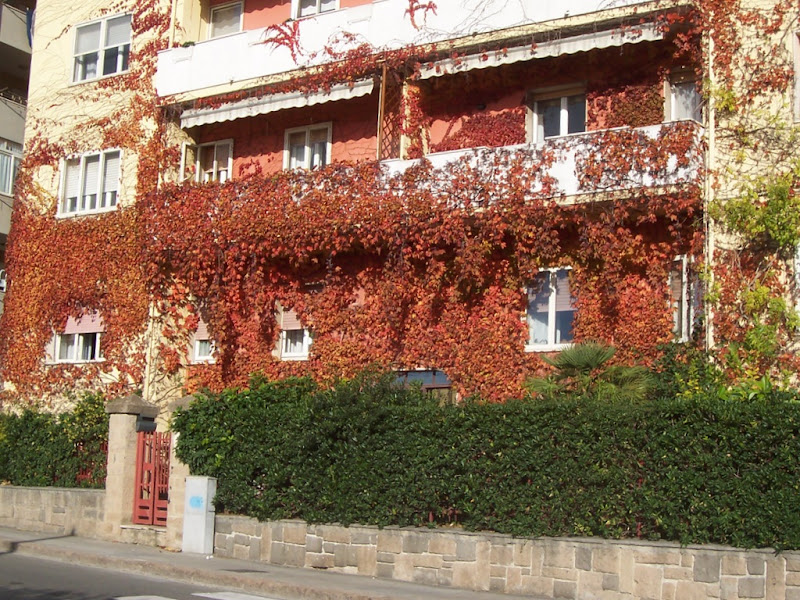 E' Autunno di Pretoriano