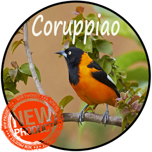 Download Corrupião Canto Classico For PC Windows and Mac