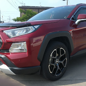 RAV4 MXAA54