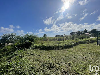 terrain à Sainte Marie (972)