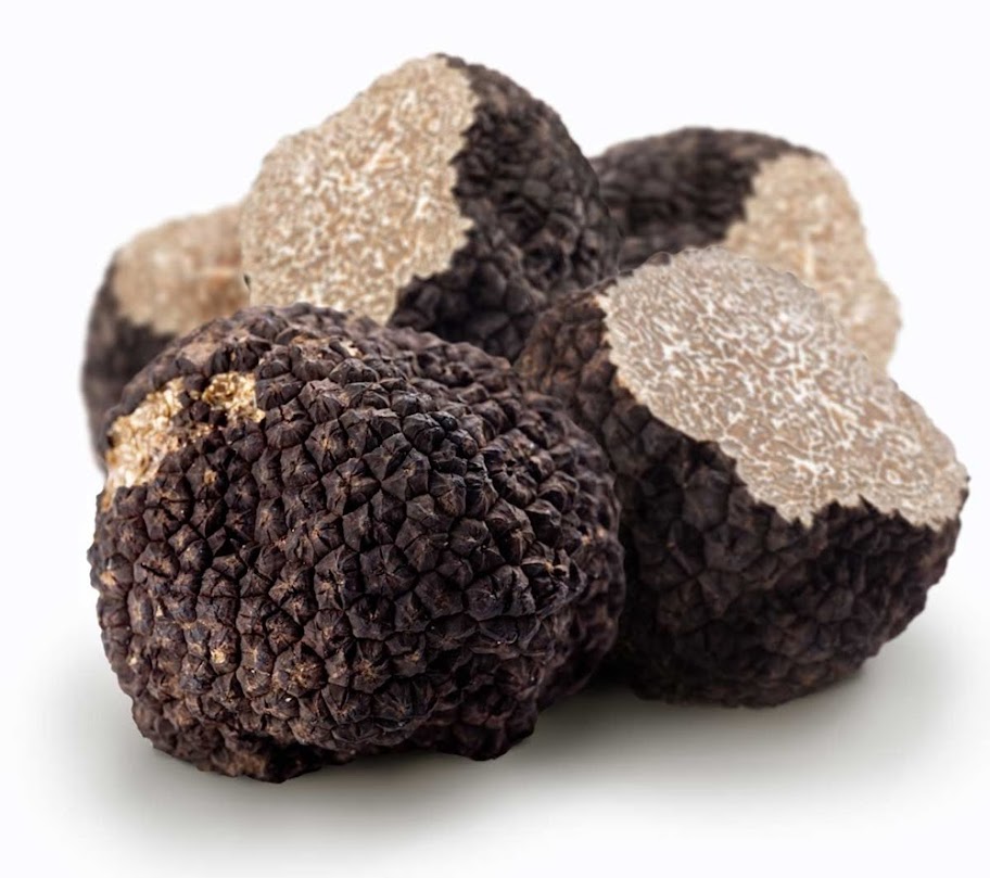 Trufas, os diamantes orgânicos