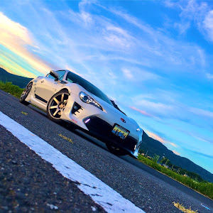 86 ZN6