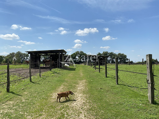 Property 1