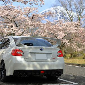 WRX STI VAB