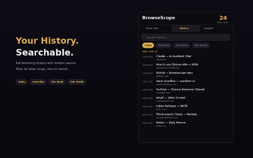 BrowseScope — Tab & History Insights screenshot 2