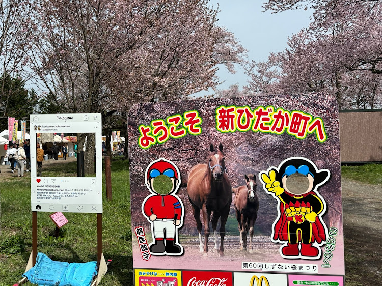 ハイエースのGW・二十間道路桜並木・やっと桜とコラボ・MYACE函館に関するカスタム事例の投稿画像4枚目