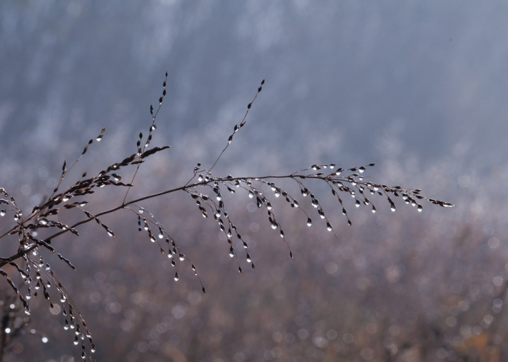 Novembre di www.fioregiallophoto.it