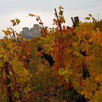 Torrechiara... di 