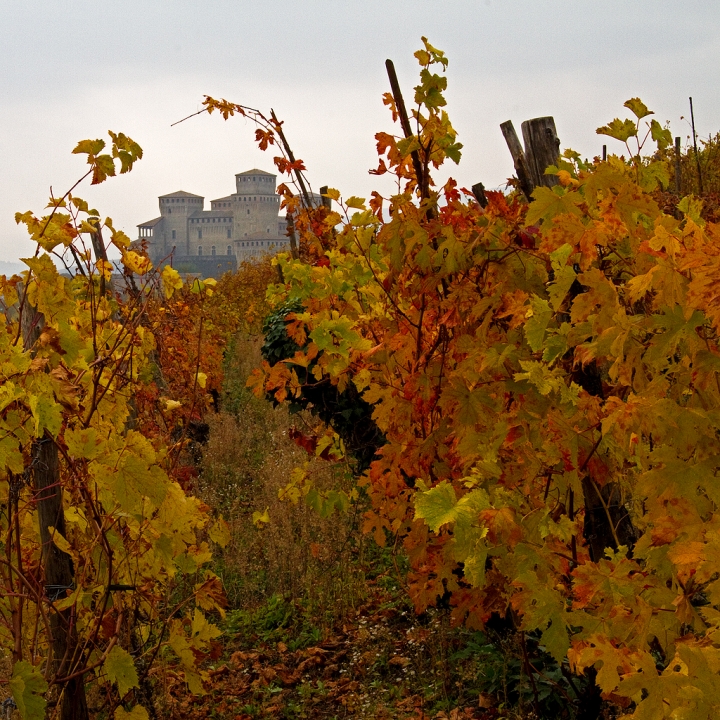 Torrechiara... di Francesca Malavasi