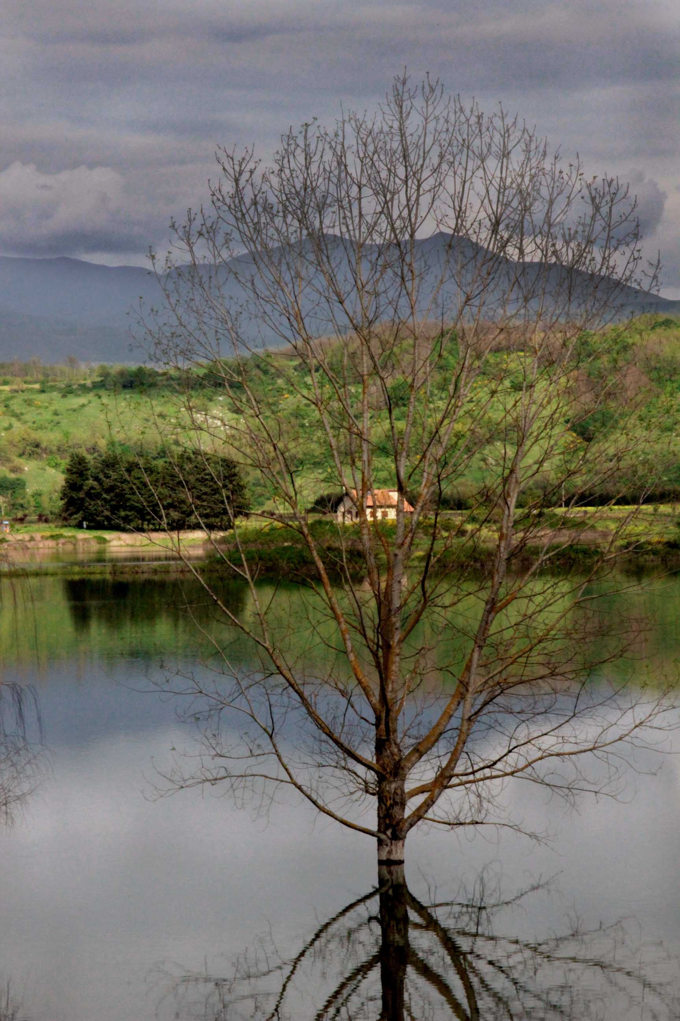 la quiete  di LauraFerrandes