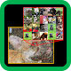Let's Mosaic -- Easy Photomosaic making tool -- Download on Windows