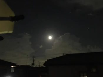 夜の帰り道