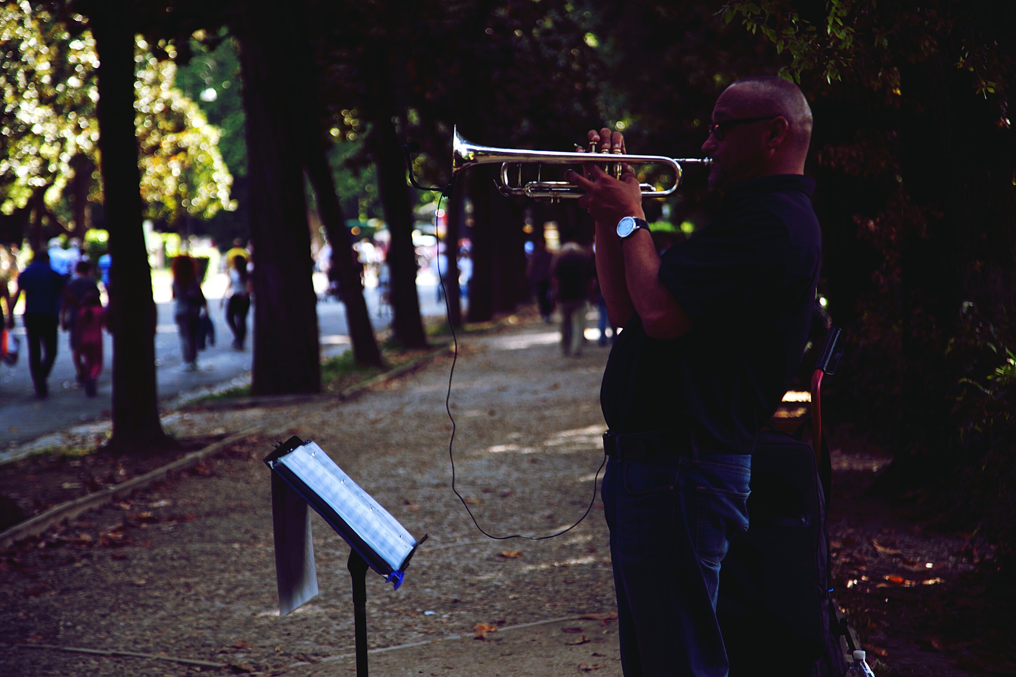 villa borghese di asfer