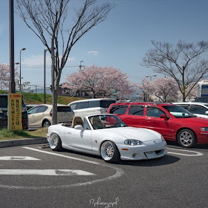 ロードスター NB8C