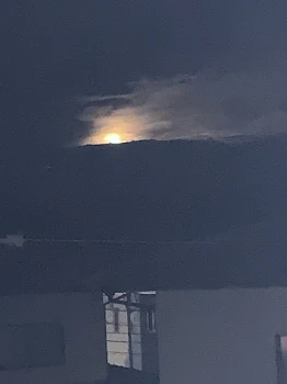 ちいさな恋