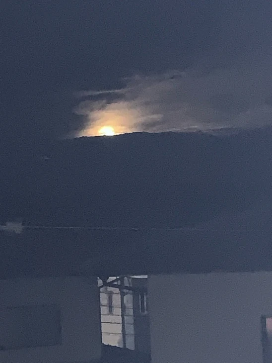 「ちいさな恋」のメインビジュアル