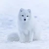 ユーザー