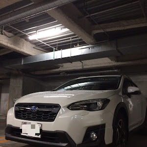 XV GT7