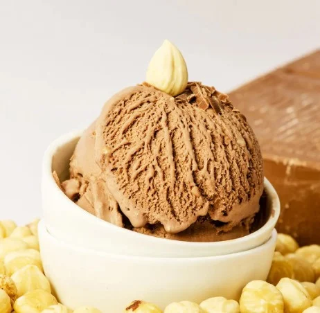 Chocolate Hazelnut Ice Cream (1 Scoop)