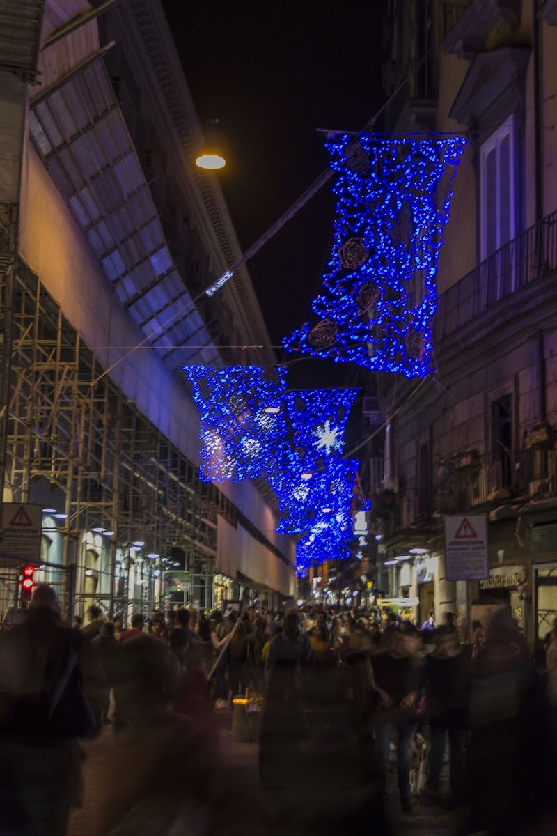 Prime luci di deborah marchese ragona