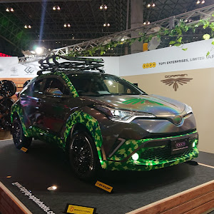 C-HR ZYX10