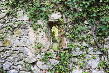 propriété à Saint paul de Vence (06)