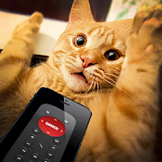 Remote control for cat joke 1.0 Icon